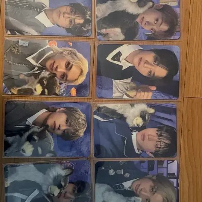 [BUNJANG] Stray Kids MAGIC SCHOOL Fan Meeting Makgeon Stay Zone Photocard / 매직스쿨 팬미팅 스키즈 스트레이키즈 막콘 스테이존