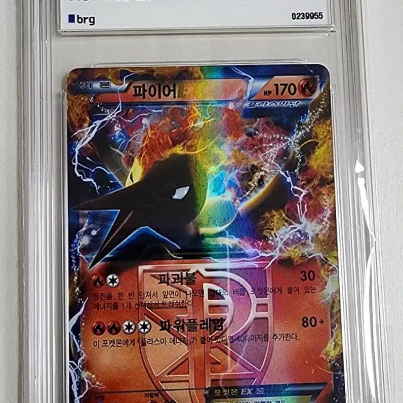 [BUNJANG] Pokemon Plasma Freeze EX Fire Type / (구매) 파이어 EX 플라스마단