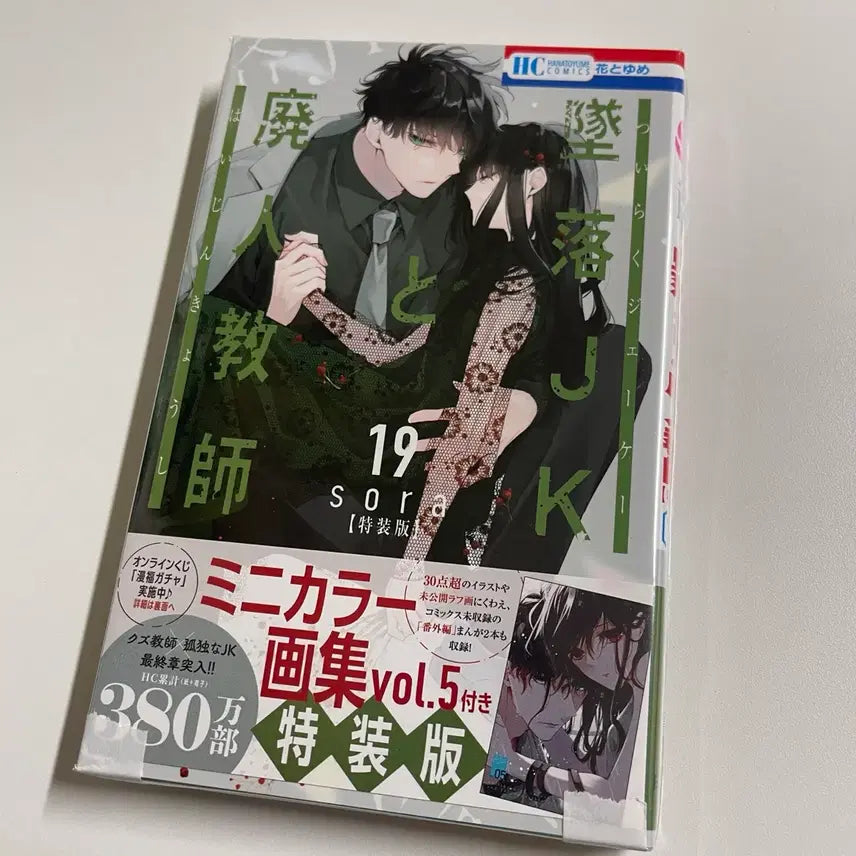 [BUNJANG] Fall High School Girl and the Wasted Teacher Vol. 19 Limited Edition Original / 추락 여고생과 폐인교사 19권 특장판 원서