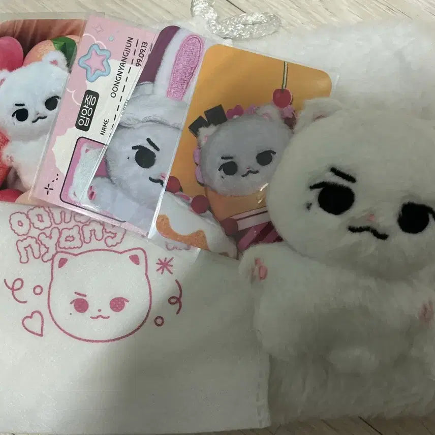 [BUNJANG] TXT Yeonjun Ungnyangjun Doll Pouch Lucky Draw Photocard / 투바투 TXT 연준 웅냥쭌 인형 양도