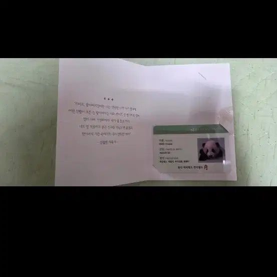 [BUNJANG] Panda Certificate Set Photocard / 판다증명서 굿즈