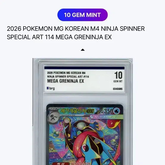 [BUNJANG] Mega Greninja EX SP SP Art Card (BRG 10) / 메가개굴닌자 sar brg10등급