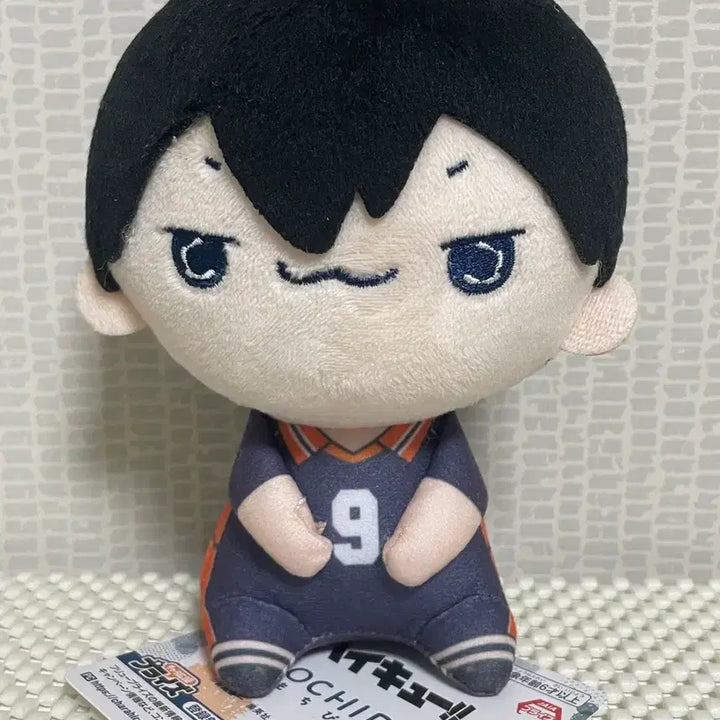 [BUNJANG] Haikyuu!! Mochapieco Kageyama Tobio Plush Doll / 하이큐 모차피코 카게야마 인형