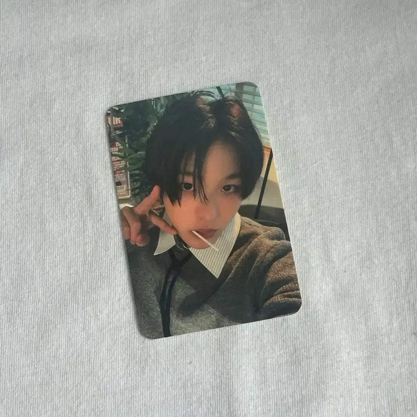 [BUNJANG] Muco Riku Photocard / (수수료포함) 뮤코 리쿠 포카