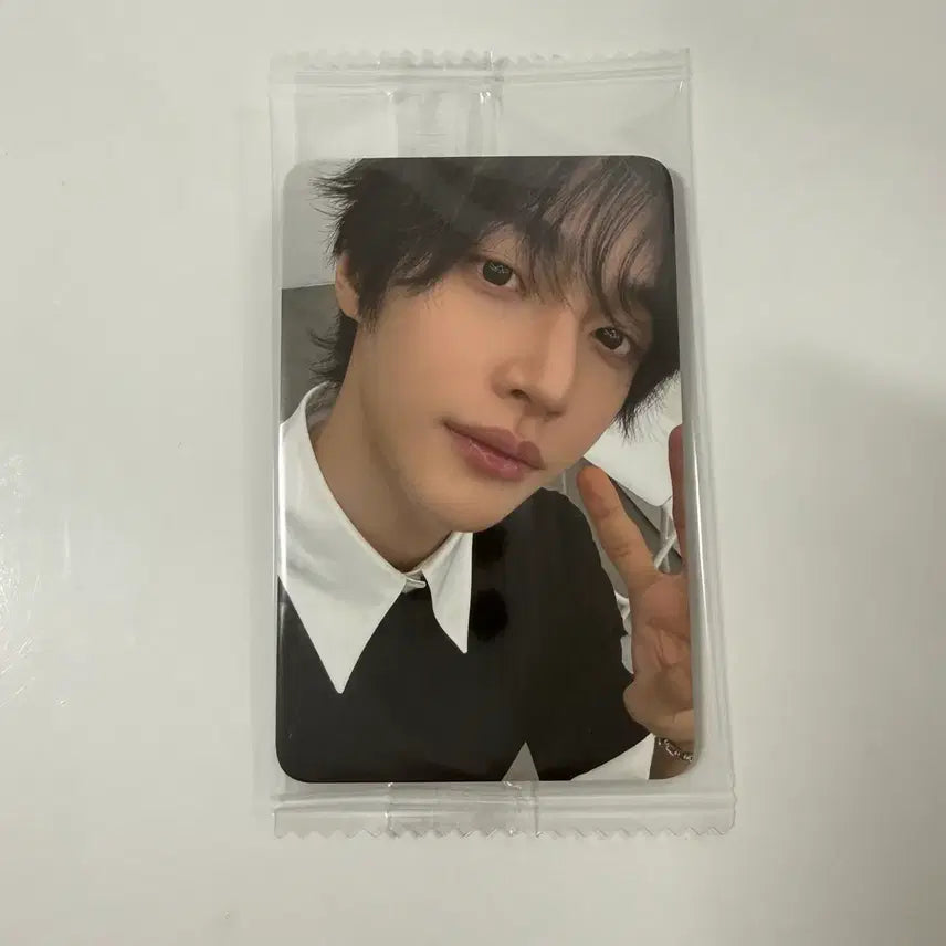 [SOLD OUT] 라이즈 dyd 원빈 케타포 미공포 양도