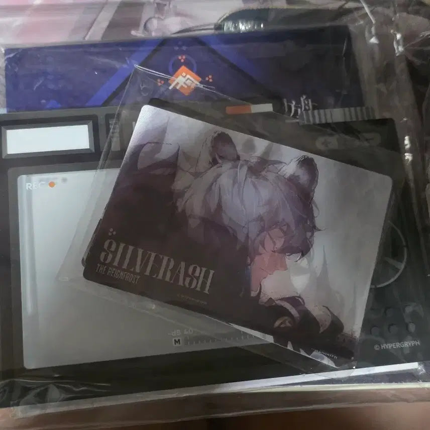 [BUNJANG] Arknights SilverAsh Plush &amp; Photocard Set / 명일방주 실버애쉬 인형 &amp; 포카 판매
