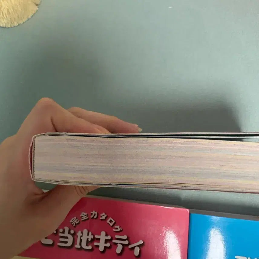 [BUNJANG] Classic Kitty Strap Book Original Catalog Encyclopedia Regional Limited Edition / 고전 키티스트랩 책 원서 카탈로그 도감 지역 한정
