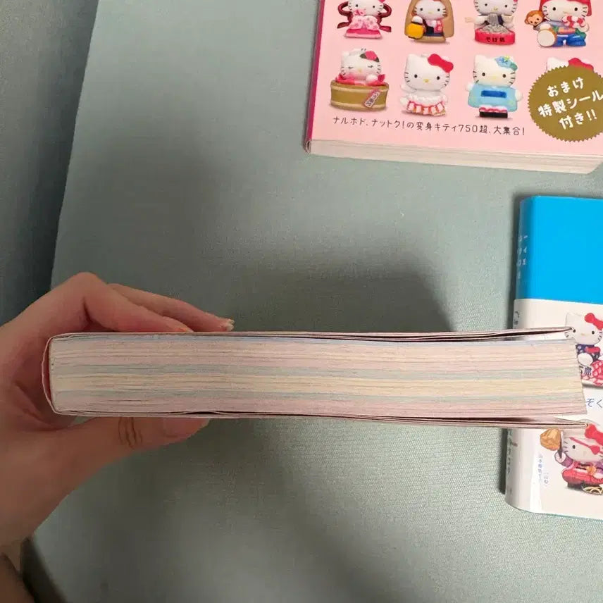 [BUNJANG] Classic Kitty Strap Book Original Catalog Encyclopedia Regional Limited Edition / 고전 키티스트랩 책 원서 카탈로그 도감 지역 한정
