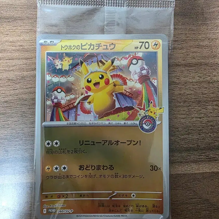 [BUNJANG] Tohoku Pikachu Sealed / 토호쿠 피카츄 미개봉