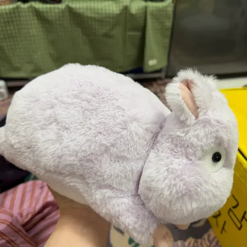 [BUNJANG] Ghibli Bow Dog Plush Toy 25-30cm / 지브리 보우 엎드려 인형 25-30cm