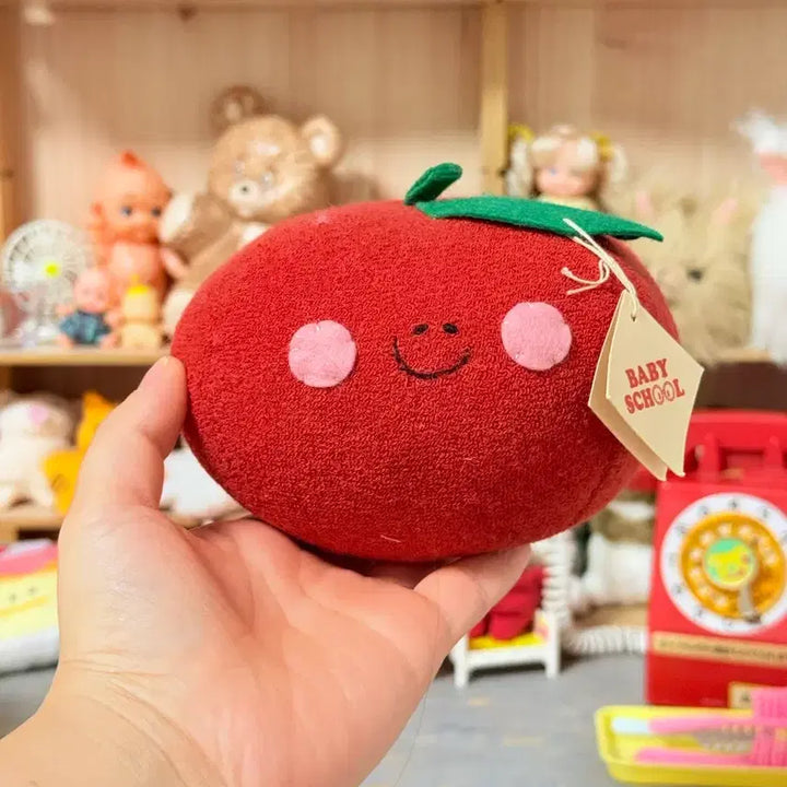 [BUNJANG] Vintage Tomato Plush Wrist Cushion / 팔목쿠션으로 딱 빈티지 토마토