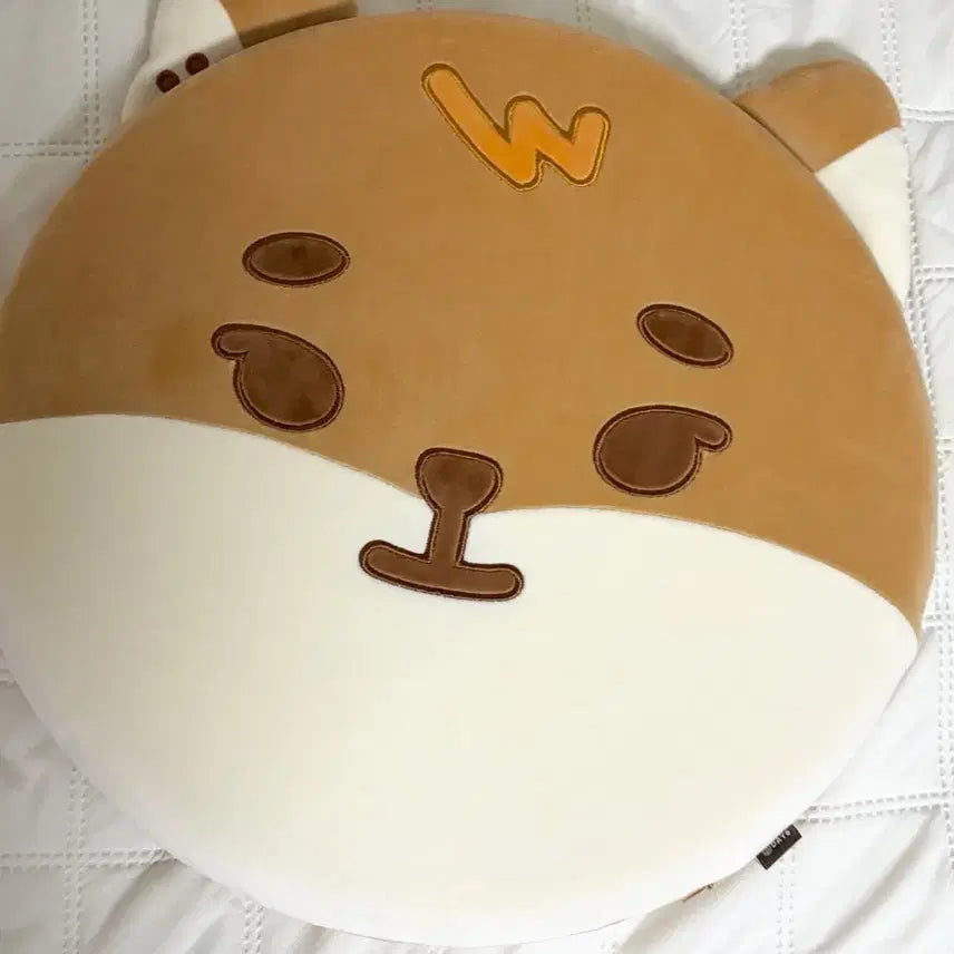 [BUNJANG] Kwangya Cushion Photocard / 케 방석 포카포함