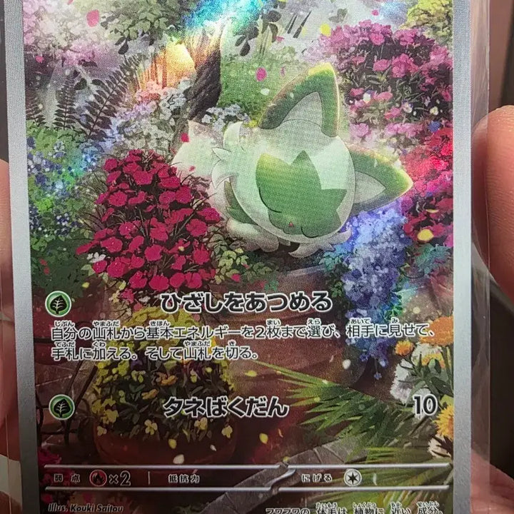 [BUNJANG] Pokemon Card Meowscarada AR 075/073 Japanese / 포켓몬 카드 냐오하 AR 075/073 일판