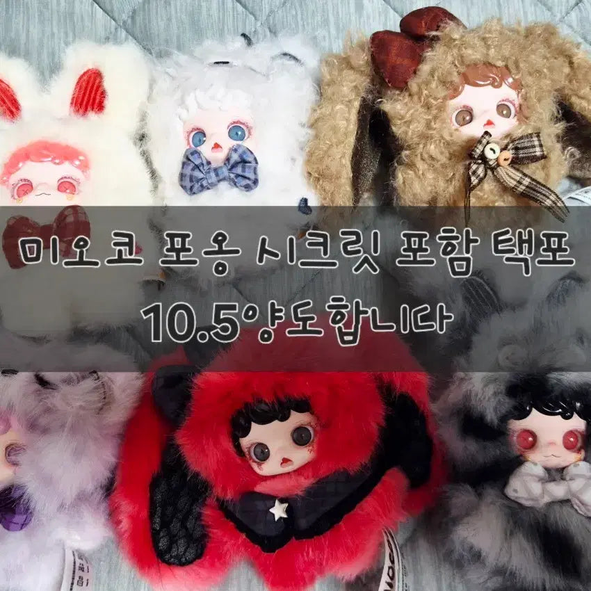 [BUNJANG] Miyoko Poong Secret Bundle Set Character Dolls / 미오코포옹 시크릿포함 양도합니다