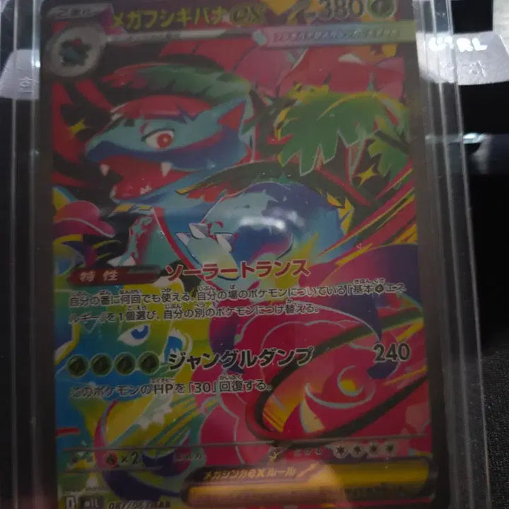 [BUNJANG] Pokemon Card SAR / 메가이상해꽃 sar 일판