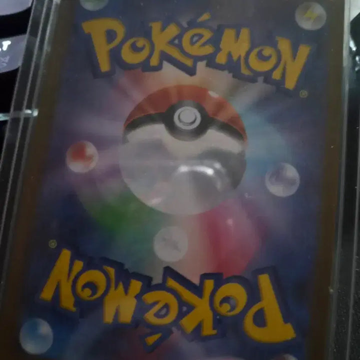 [BUNJANG] Pokemon Card SAR / 메가이상해꽃 sar 일판