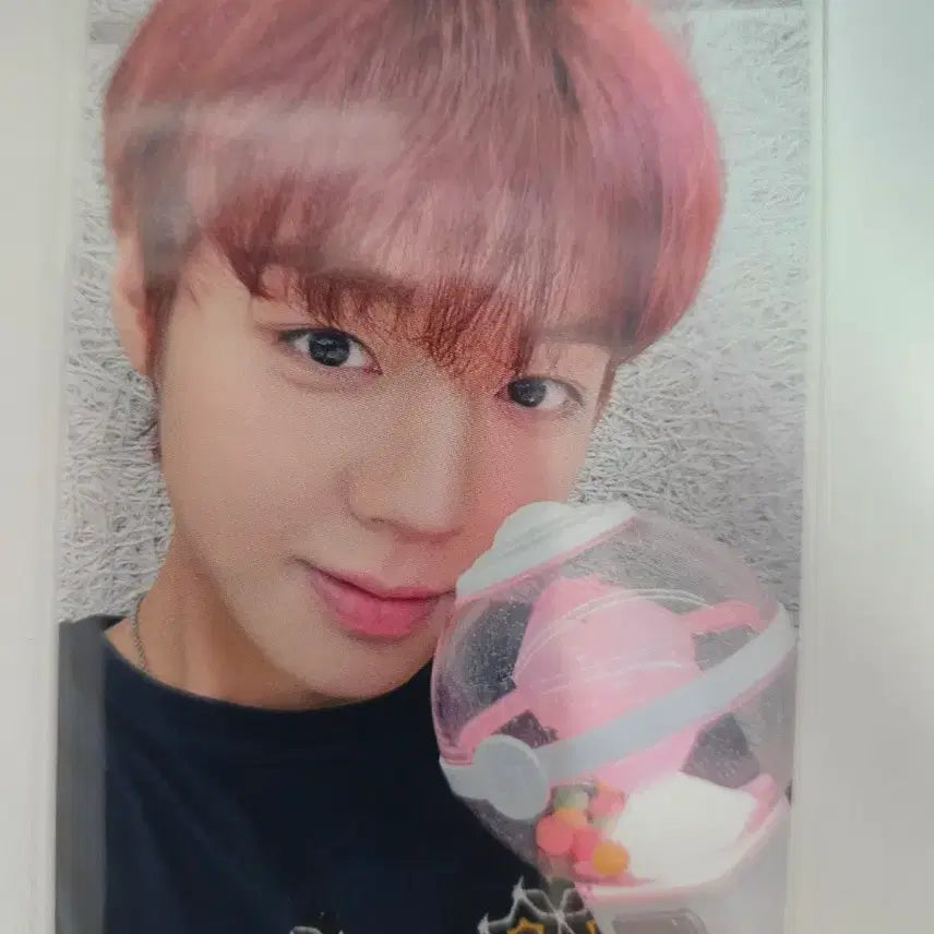 [BUNJANG] Park Jihoon D.N.D. DIMAJU Photocard / 박지훈 디앤서 원티 디마뮤 포카