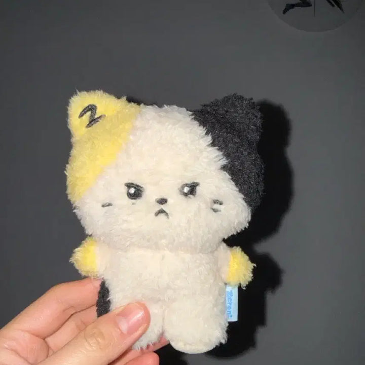 [BUNJANG] ZEROBASEONE Ricky RiniNi Doll / 제배원 리키 리니니 인형 판매해요