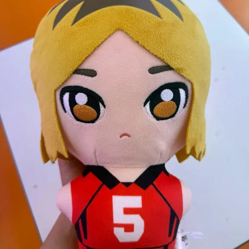 [BUNJANG] Haikyuu!! Tetsuro Kuroo Large Plush Doll / 하이큐 쿠로오 테츠로 큰 인형