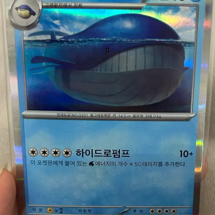 [BUNJANG] Whale King R &amp; Magiraru R Cards / 고래왕 R &amp; 마기라스R