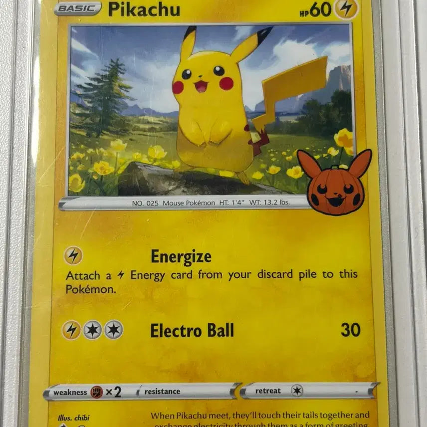 [BUNJANG] Pokemon Card Pikachu Promo / 포켓몬카드 피카츄 프로모