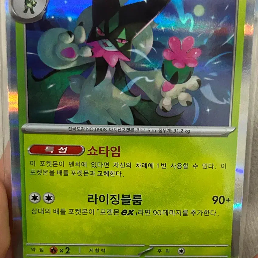[BUNJANG] Mascarana R Trading Card / 마스카나 R
