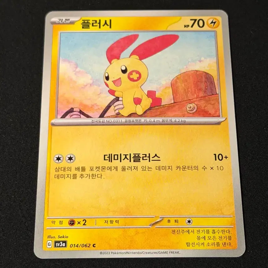 [BUNJANG] Pokemon Cards / 포켓몬 카드 플러시