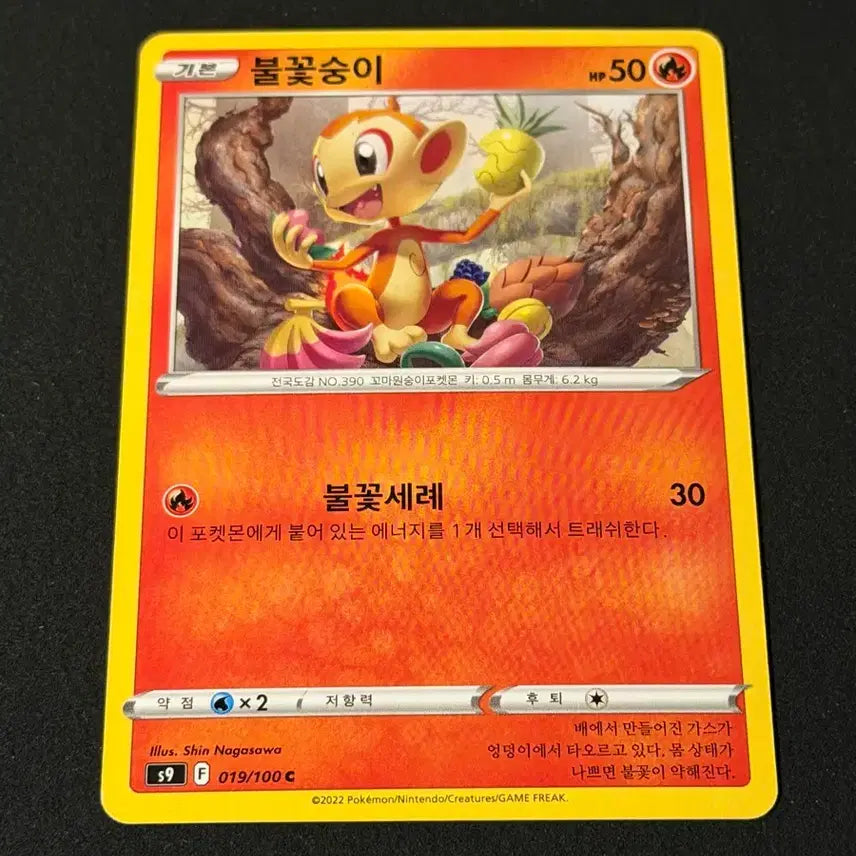 [BUNJANG] Classic Pokemon Charmander Card / 고전 포켓몬 카드 불꽃숭이
