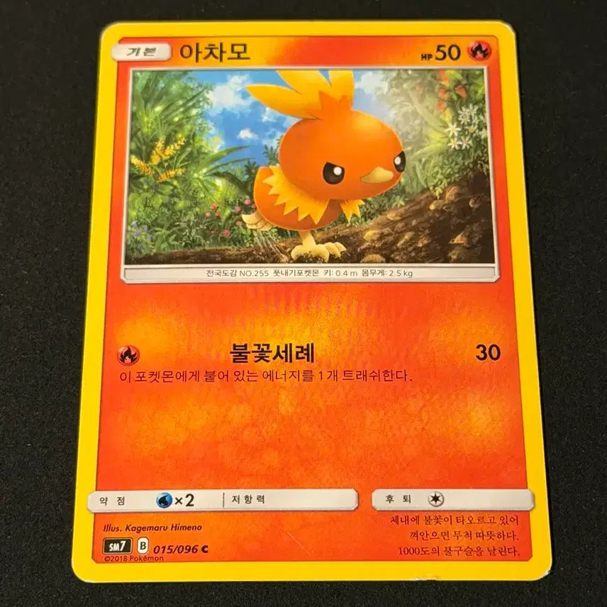 [BUNJANG] Vintage Pokemon Card Torchic / 고전 포켓몬 카드 아차모