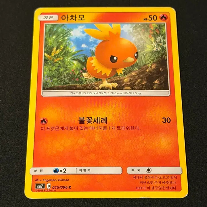 [BUNJANG] Vintage Pokemon Card Torchic / 고전 포켓몬 카드 아차모