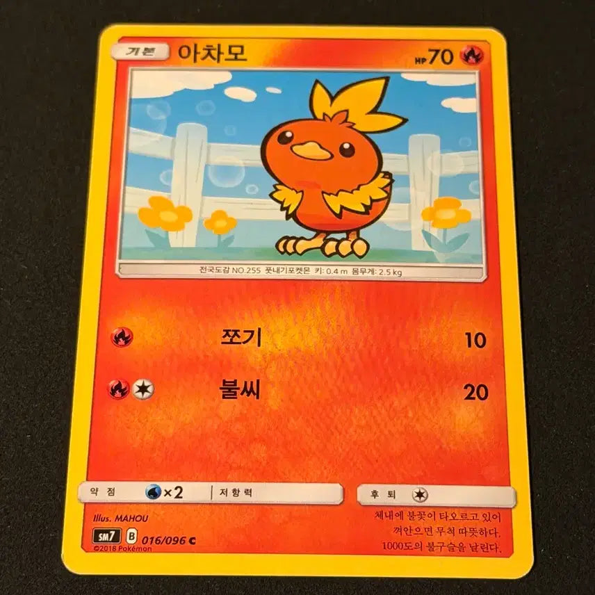 [BUNJANG] Vintage Pokemon Card Torchic / 고전 포켓몬 카드 아차모