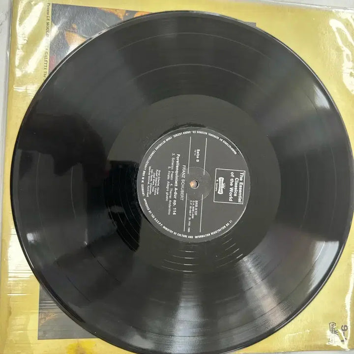 [BUNJANG] Franz Schubert Piano Quintet "Trout" Op. 114 Classic LP Record (1985) / 빈티지 슈베르트 피아노 5중주 숭어 전악장 클래식 LP 팝니다