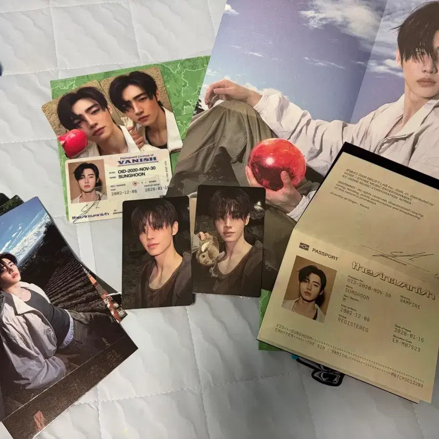 [BUNJANG] ENHYPEN The Sin: Vanish Album &amp; Photocard / 엔하이픈 The sin : vanish 앨범&amp;포토카드&amp;특전