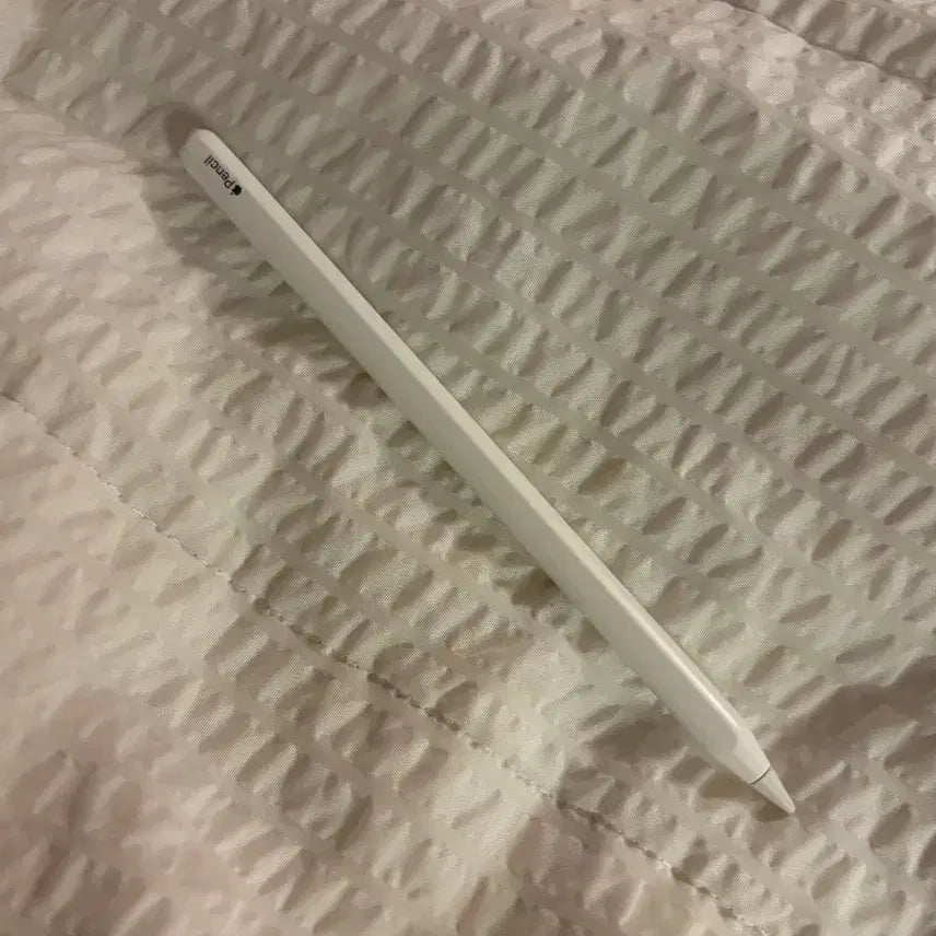 [BUNJANG] Apple Pencil 2nd Generation / 애플펜슬 2세대 상태좋음
