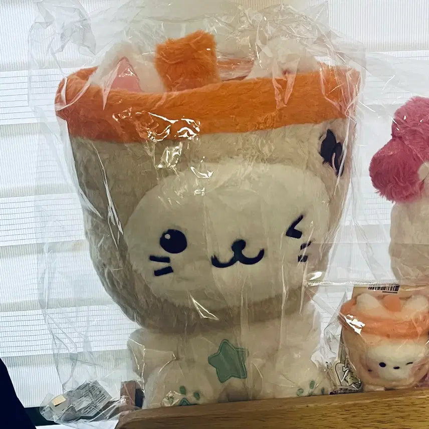 [BUNJANG] NCT WISH Yushi Bubble Cat 30cm Doll / 엔위시 유우시 버블냥 30cm 인형 판매