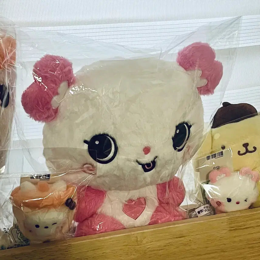[BUNJANG] NCT Wish Sakuya Pangi 30cm Doll / 엔위시 사쿠야 팡이 30cm 인형 판매