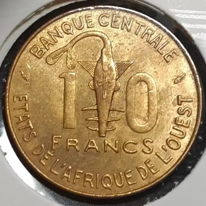 [BUNJANG] West African Federation 1978 10 Francs Uncirculated Foreign Coin / 극희귀 서아프리카연합 미사용 1978년 10프랑.외국주화 주화 화폐 동전