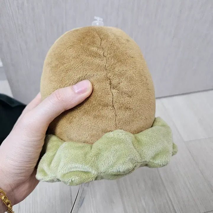 [BUNJANG] Pokemon Center Diglett Plush / (일본정품)포켓몬센터 정품 디그다인형