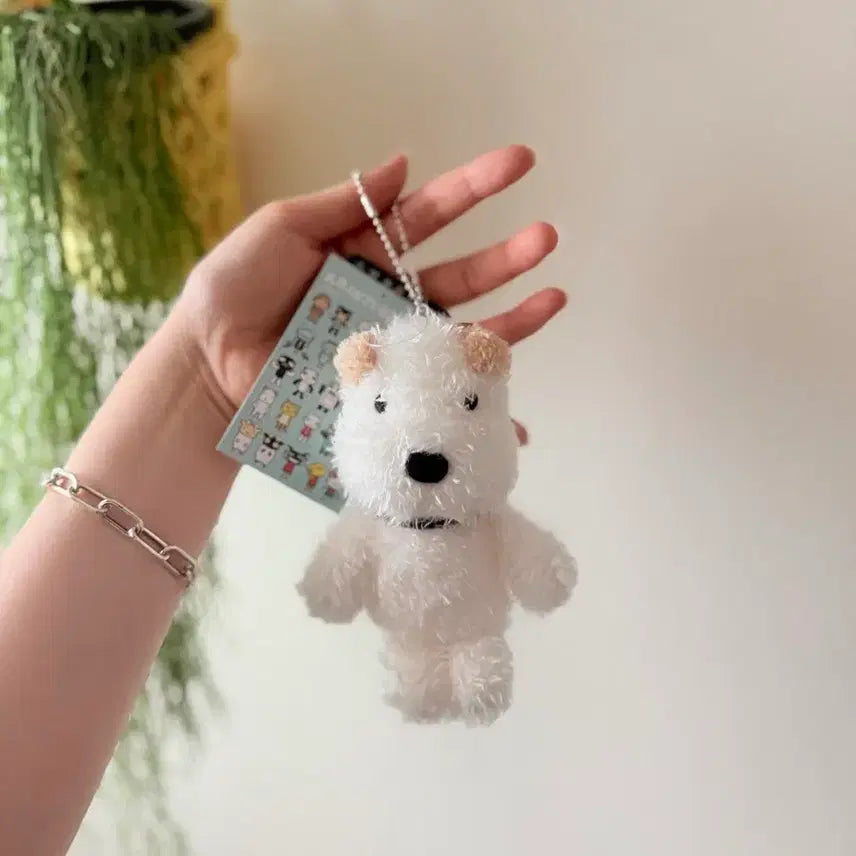 [SOLD OUT] 아란지아란조 테츠 인형키링