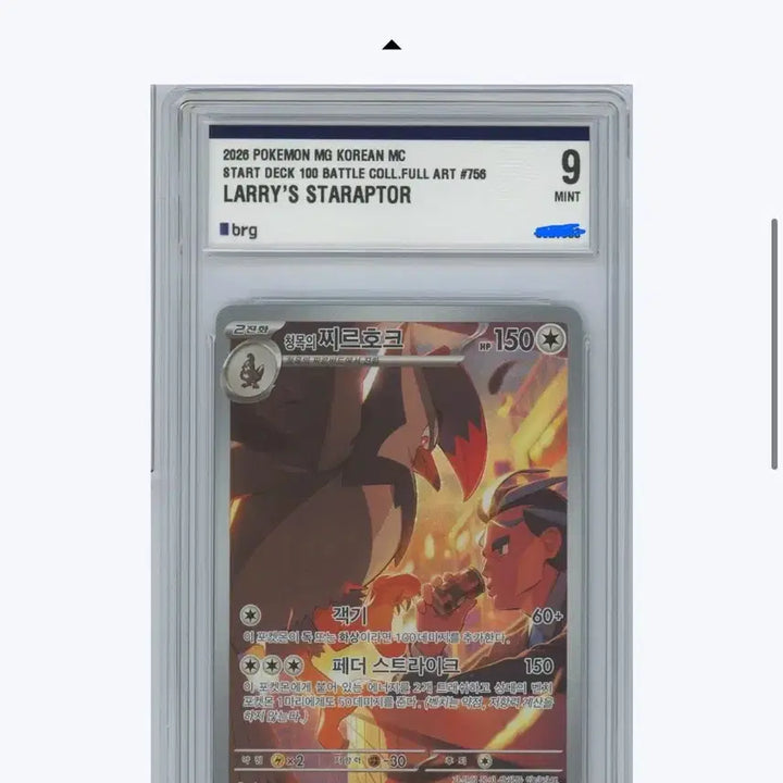 [BUNJANG] Pokemon Card Promo Chiru Hawk BRG9 (100 Deck) / [포켓몬카드] 청목의 찌르호크 프로모 brg9 (100덱)