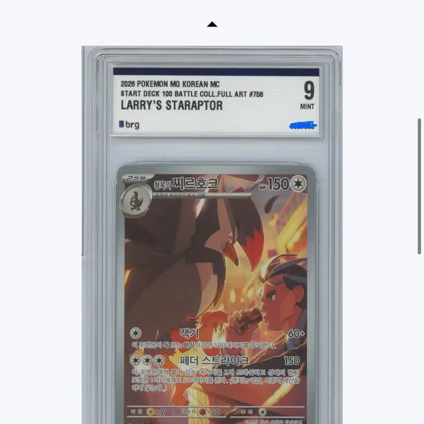 [BUNJANG] Pokemon Card Promo Chiru Hawk BRG9 (100 Deck) / [포켓몬카드] 청목의 찌르호크 프로모 brg9 (100덱)