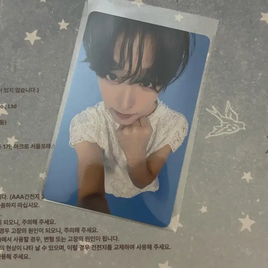 [BUNJANG] ODD TO LOVE MD POB Photocard Riku / 오드투러브 엠디 특전 포카 리쿠