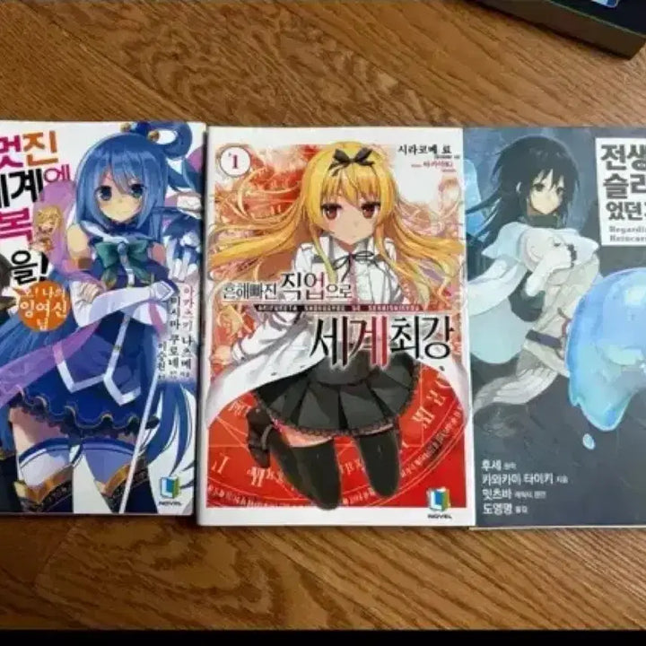 [BUNJANG] Light Novel Collection (27 Volumes) / 라이트 노벨 모음 (총 27권) 합쳐서 판매 합니다.