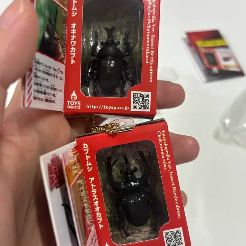 [BUNJANG] Insect Encyclopedia Figure Bundle Set / 일본가챠 곤충 백과사전 피규어 가챠판매(일괄)