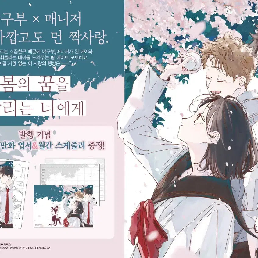 [BUNJANG] Spring Dream Runners: Complete Set / 만화책 / 봄의 꿈을 달리는 너에게
