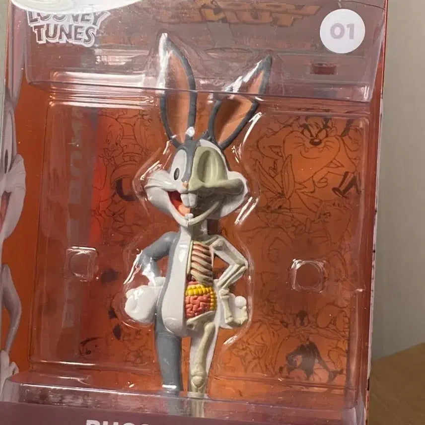 [BUNJANG] Looney Tunes Bugs Bunny X-Ray Jason Freeny Art Toy / 루니툰즈 벅스바니 엑스레이 Jason Freeny 아트토이