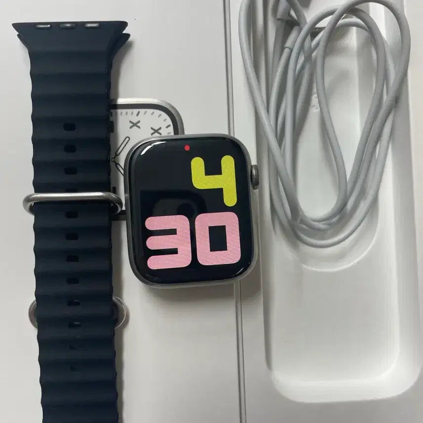 [BUNJANG] Apple Watch Series 7 Titanium 45mm Silver / 애플워치7티타늄 45mm 실버 SSS급