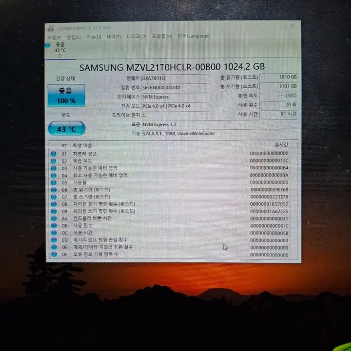 [BUNJANG] Samsung PM9A1 1TB NVMe SSD / 신품급 PM9A1 1TB Nvme 사용시간 90시간대