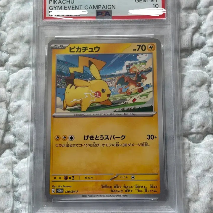 [BUNJANG] 2023 Pokemon Card Pikachu Gym Event Campaign PSA 10 / PSA10 2023 포켓몬 카드 피카츄 짐 이벤트 캠페인