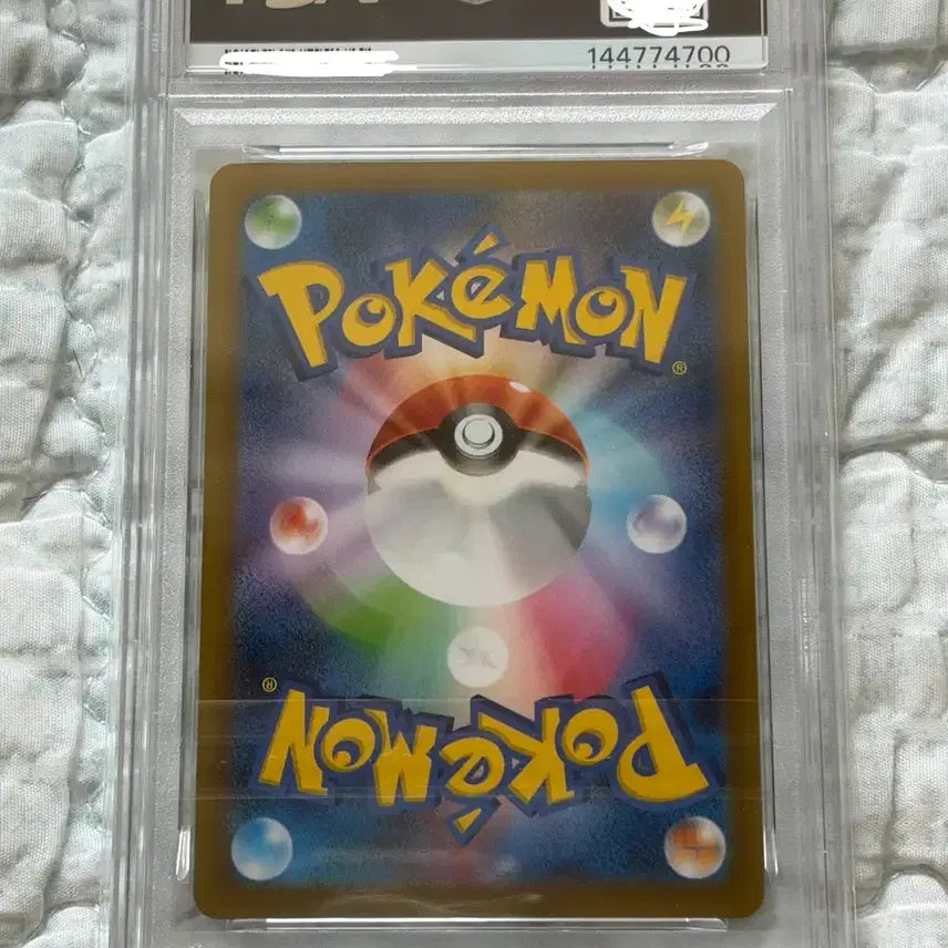 [BUNJANG] 2023 Pokemon Card Pikachu Gym Event Campaign PSA 10 / PSA10 2023 포켓몬 카드 피카츄 짐 이벤트 캠페인